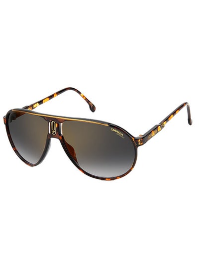 Buy Unisex Aviator Sunglasses CHAMPION65  BRW HAVAN 62 in Saudi Arabia