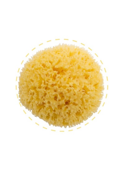 Buy Honeycomb Sea Sponge 100% Natural Size-18 Piece Of One in Saudi Arabia