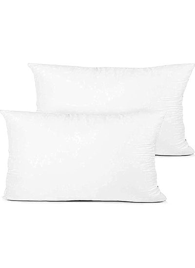 اشتري 2 Piece Hypoallergenic Down Substitute Polyester Square Pillow Core 30X50 Cm  Best Buy Fluffy Cushions في الامارات