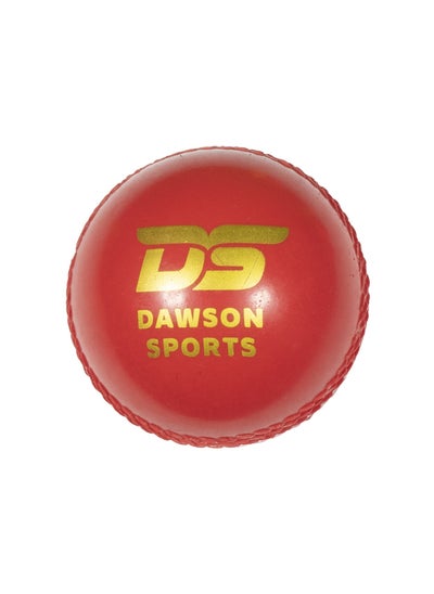 Buy Dawson Sports Training Synthetic Cricket Ball in UAE