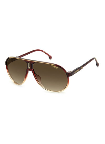 اشتري Aviator / Navigator Sunglasses CHAMPION65/N  BURG SHD 62 في الامارات