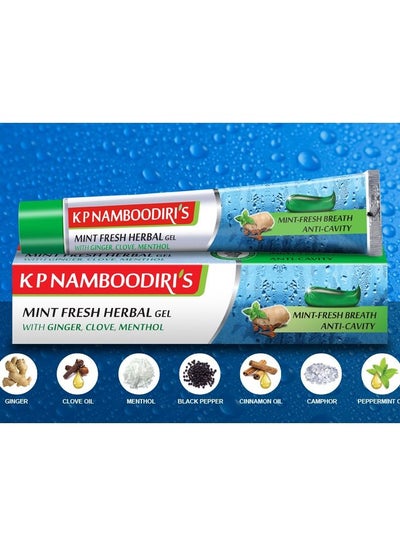 Buy Mint fresh herbal gel toothpaste 88gm in UAE