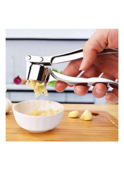 Buy Garlic press made of stainless in Egypt