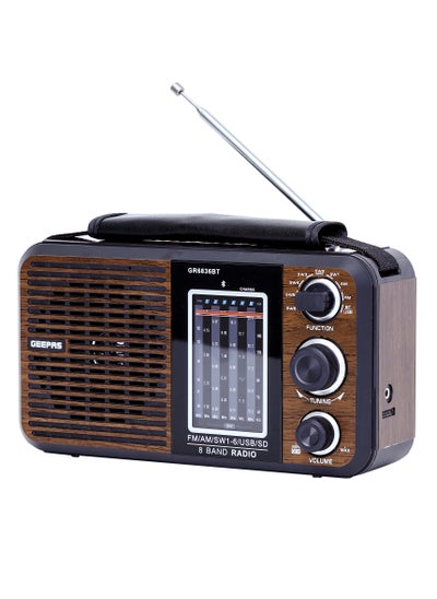 Rechargeable FM Radio, Large Capacity Battery, Perfectly Portable ...