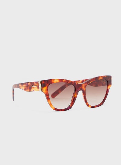 Buy Sf1010S Oval Shape Sunglasses in UAE