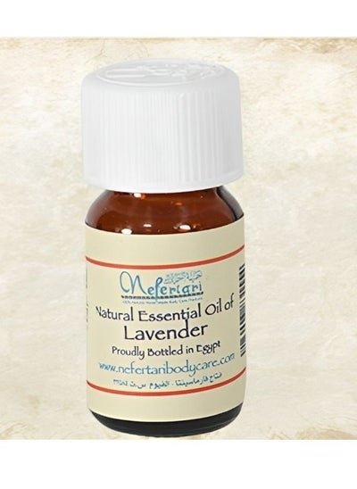 Buy Lavender Essential body Oil - 25ml in Egypt