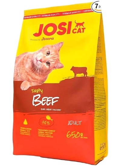 Buy Tasty Beef Dry Food For Adult Cats 650 Gm in Saudi Arabia