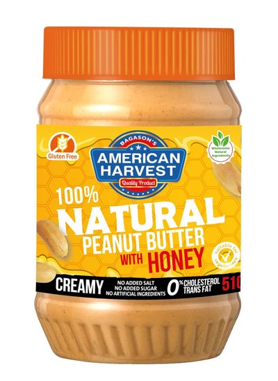 Buy Peanut Butter Creamy - All Natural With Honey 510G in UAE