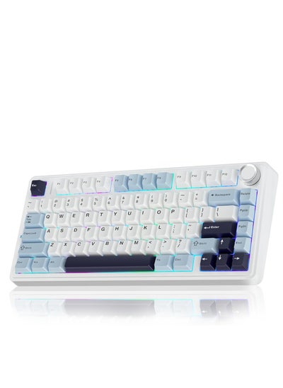 Buy F75 Wireless Mechanical Keyboard Switches RGB Backlit Gaming Keyboard in Saudi Arabia