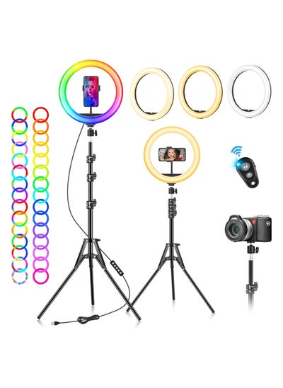 Buy ELTERAZONE Ring Light with Tripod Stand & Phone Holder -10 inch Selfie LED Ringlight Dimmable Desktop 40 Colors RGB Tall Circle Light for Camera Makeup Video YouTube TikTok Live Streaming Zoom Meeting in UAE