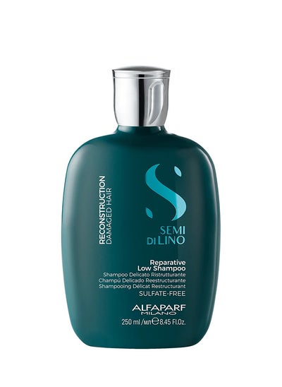 Buy Semi Dilino Reparative Shampoo 250Ml in UAE