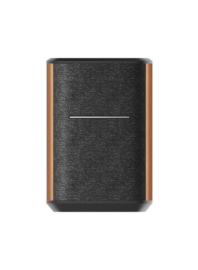 Buy Mic-Free Smart Speaker, Works with Alexa, Supports AirPlay 2, Spotify Connect, Tidal Connect, 40W RMS Wi-Fi and Bluetooth Sound System, No Microphone, MS50A in UAE