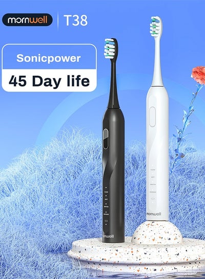 Buy Electric Toothbrush With  smart timer built into the toothbrush Waterproof Black in Saudi Arabia