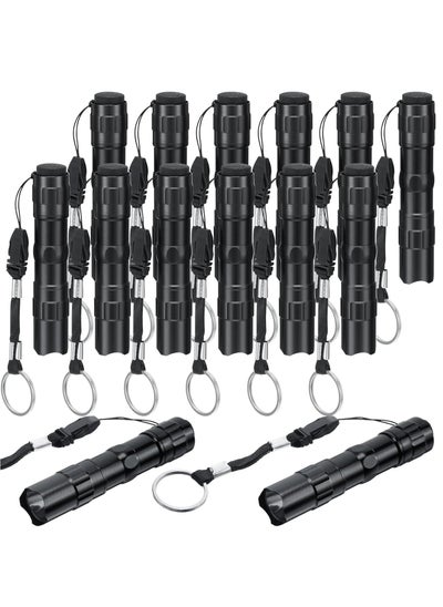 Buy 12 Pcs Mini Flashlights Bulk LED Handheld Torches with Lanyard Bright Battery Operated Aluminum Flash Lights for Camping Night Reading Party Favor Keychain Gift Black in Saudi Arabia