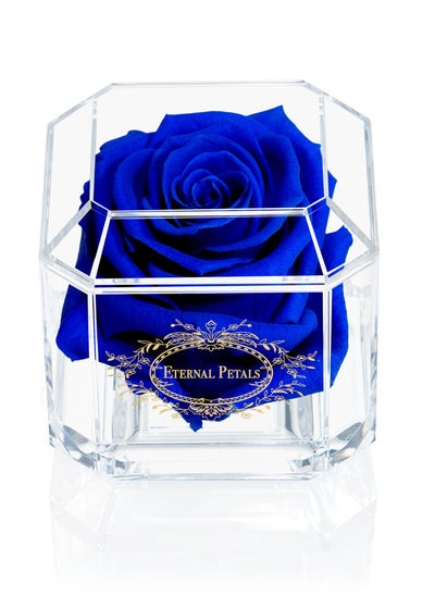 Buy Eternal Petals, A 100% Real Rose That Lasts Years - Gold Solo (Dark Blue) in UAE