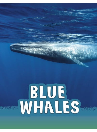 Buy Blue Whales in UAE