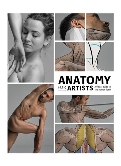 Buy Anatomy for Artists : A visual guide to the human form in UAE