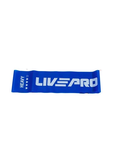 Buy Livepro Resistance Loop Bands LP8413 in UAE