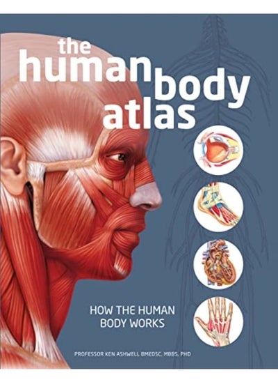 اشتري The Human Body Atlas: How the Human Body Works في الامارات