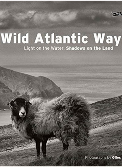 اشتري Wild Atlantic Way : Light on the water, shadows on the land في الامارات