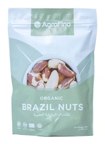 Buy Organic Brazil Nuts 250 grams in Saudi Arabia