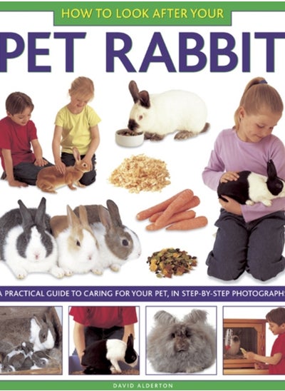 اشتري How to Look After Your Pet Rabbit في السعودية