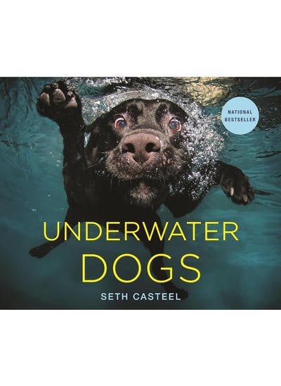 اشتري Underwater Dogs في الامارات