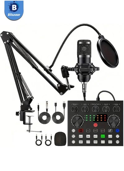 Buy Karaoke Sound card Equipment Bundle, V8s Audio Interface with All-in-One Live Sound Card and BM800 Condenser Microphone, Podcast Microphone, Perfect for Singing, Recording, Broadcasting, and Live Streaming in Saudi Arabia