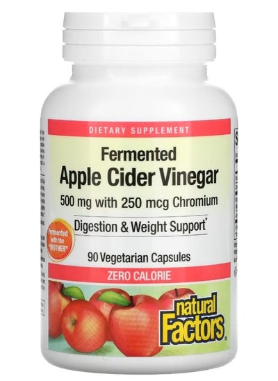 Buy Fermented Apple Cider Vinegar 500 mg 90 Vegetarian Capsules in Saudi Arabia