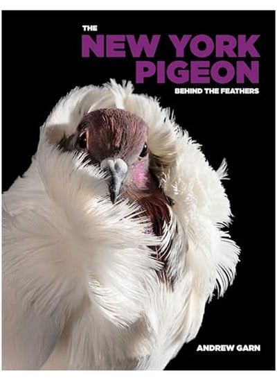 Buy The New York Pigeon in UAE