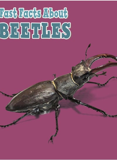 Buy Fast Facts About Beetles in Saudi Arabia