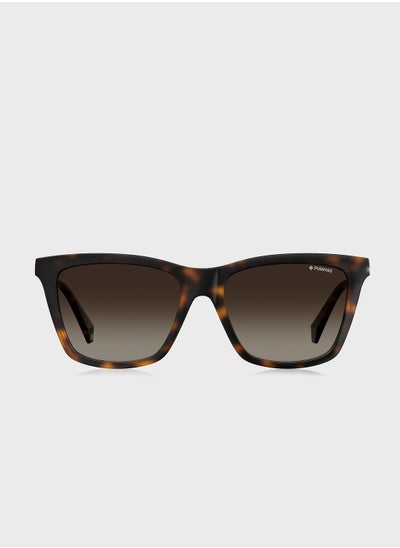 Buy Pld 4081/S Sunglasses in UAE