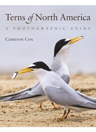 Buy Terns of North America: A Photographic Guide in UAE