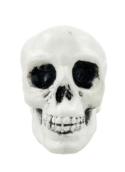 Buy Skulls 3Pcs/Pk in UAE