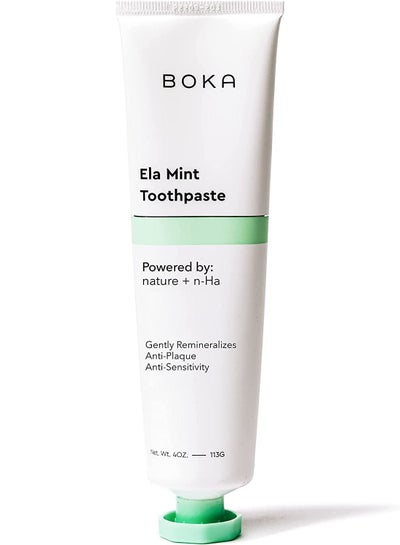 Buy Natural toothpaste fluoride free dentist recommended for kids and adults 4oz in UAE