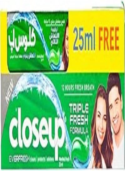 Buy Closeup Ever Fresh for 12H Fresh breath Menthol Fresh Toothpaste 100ml + Toothpaste 25ml in Egypt