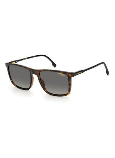 Buy Men's Square Sunglasses - CARRERA 231/S_0086 HA - Lens size: 55 mm in UAE