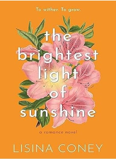 Buy Brightest Light of Sunshine in UAE