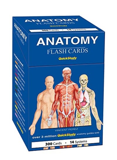 اشتري Anatomy Flash Cards في الامارات