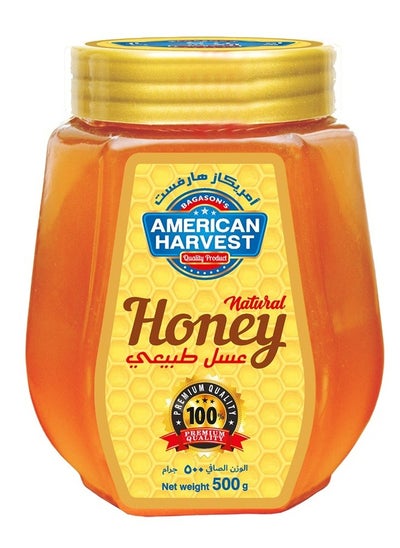 Buy Natural Honey Octa Jar | Dairy, Nut, Gluten-Free | 500 gm in UAE