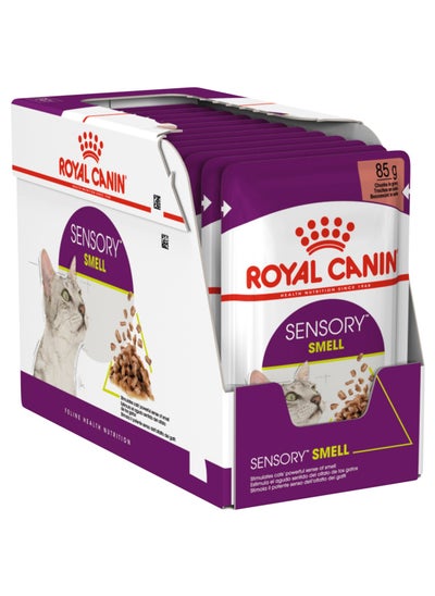 اشتري Sensory Smell Chunks in Gravy Cat Wet Food 12x85g في الامارات