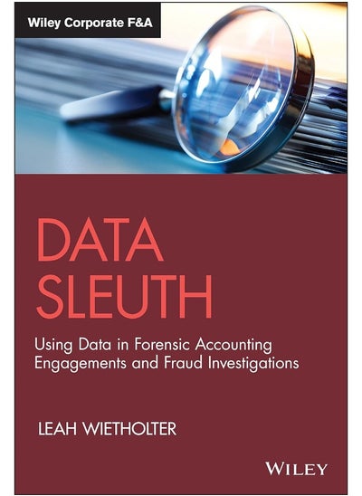 Buy Data Sleuth: Using Data in Forensic Accounting Engagements and Fraud Investigations in UAE