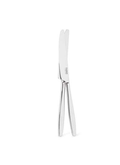 Buy 2-Piece Dinner Knife 23cm, 18/10  Stainless Steel Cutlery Set TRENTO Series in UAE