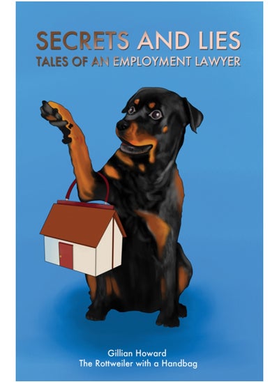 Buy Secrets and Lies - Tales of an Employment Lawyer in UAE