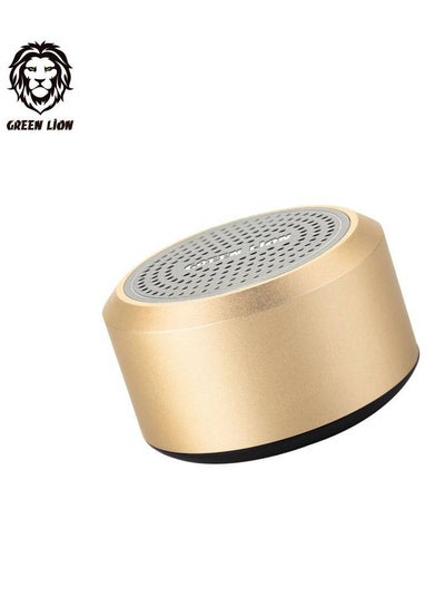 Buy Green Lion Mini Muscle Speaker - Gold in UAE