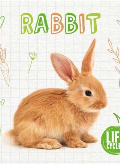 Buy Rabbit in UAE