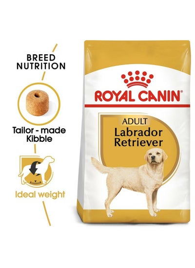 Buy Breed Health Nutrition Labrador Retriever Adult 3kg in UAE