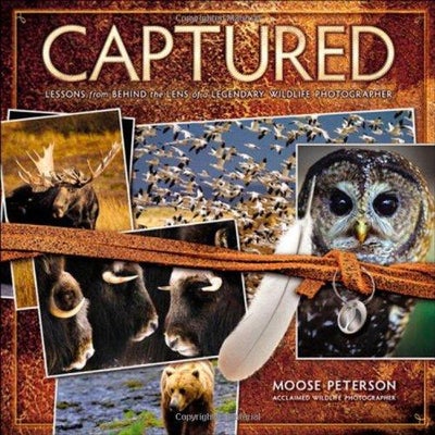 Buy Captured - Paperback English by Moose Peterson - 11/10/2010 in UAE