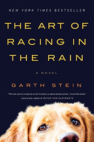 Buy The Art of Racing in the Rain printed_book_paperback english - 09/06/2009 in UAE