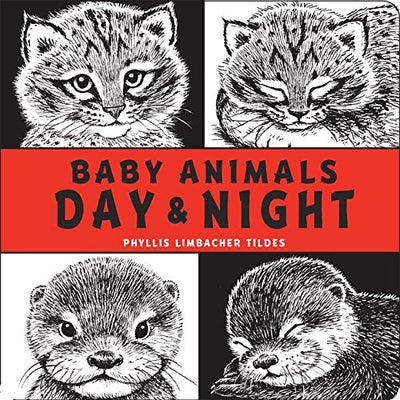 اشتري Baby Animals Day & Night كتاب بأوراق سميكة قوية في الامارات